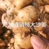 陈雪梅的一亩田店铺