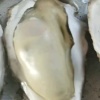 小曹水产有限公司的一亩田店铺