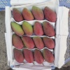 陈老五的一亩田店铺