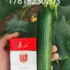 盛菏精品水果黄瓜的一亩田店铺