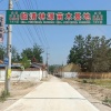 临清林源苗木种植基地的一亩田店铺