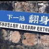 邓芳纯的一亩田店铺
