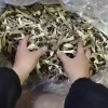 陈世清的一亩田店铺