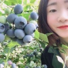 林亚男的一亩田店铺