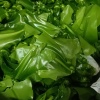 上海市清浦区振清源蔬菜批发经营部的一亩田店铺