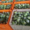 藤县太平粮心农业的一亩田店铺