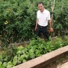 洱源县立信蔬菜种植专业合作社的一亩田店铺