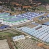 凉山月城实业葡萄种植基地的一亩田店铺