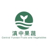 滇中果蔬的一亩田店铺