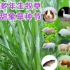 勇连生态牧草种植农场的一亩田店铺
