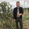 柳江县和盛专业合作社的一亩田店铺