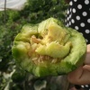 付杜鹏的一亩田店铺