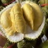 云南电子商务有限公司的一亩田店铺