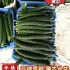 冀鑫果蔬专业合作社的一亩田店铺