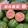 普惠水果种植专业合作社的一亩田店铺