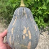 莫健威的一亩田店铺