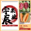 宇辰果业的一亩田店铺