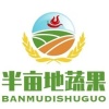 半亩地蔬果的一亩田店铺