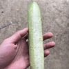 刘成的一亩田店铺