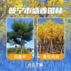 盛鑫林业产品经营部的一亩田店铺