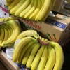 宜鲜果蔬有限公司的一亩田店铺