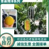 冯连海的一亩田店铺