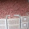 鼎盛薯业的一亩田店铺