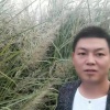 桂刘卫家庭农场的一亩田店铺