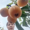 胡春梅的一亩田店铺