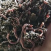 四方生物科技发展有限公司的一亩田店铺