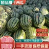 大磊蔬菜瓜果的一亩田店铺