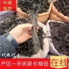 黄药师药业有限公司的一亩田店铺