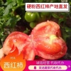 双龙菜业的一亩田店铺