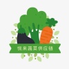 新野悦来蔬菜批发的一亩田店铺