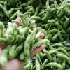 王晓惠蔬菜代收的一亩田店铺
