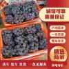聊城市绿源农产品有限公司的一亩田店铺