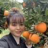 李雪梅的一亩田店铺
