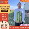 鲁山县库区乡平岭豆豆水果批发的一亩田店铺