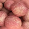 鑫胜水果批发供应链的一亩田店铺