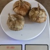 南通九总渡藏红花栽培园的一亩田店铺