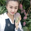 雄鹰果业的一亩田店铺