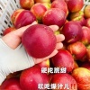 姚坤的一亩田店铺