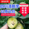志刚农产品代收代办的一亩田店铺