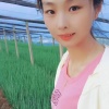 潍坊丰禾葱苗基地的一亩田店铺