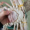 南海水产批发的一亩田店铺
