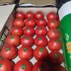 石如存蔬菜批发的一亩田店铺