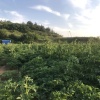 建勇种植农民专业合作社的一亩田店铺