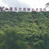 灵山兴忠农产品销售有限责任公司的一亩田店铺