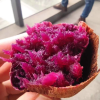 山东省宇泰生物种业有限公司的一亩田店铺