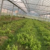 江西乙蔓农业综合开发有限公司的一亩田店铺